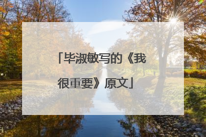毕淑敏写的《我很重要》原文