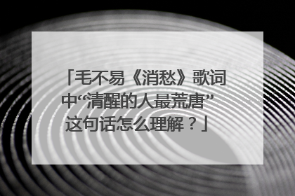 毛不易《消愁》歌词中“清醒的人最荒唐”这句话怎么理解？