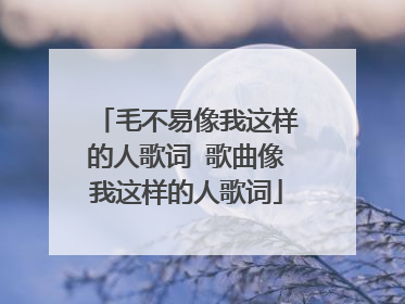 毛不易像我这样的人歌词 歌曲像我这样的人歌词