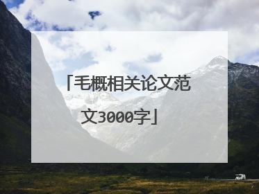 毛概相关论文范文3000字