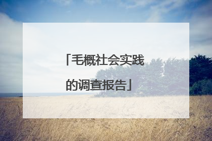 毛概社会实践的调查报告