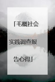 毛概社会实践调查报告心得