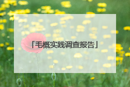 毛概实践调查报告