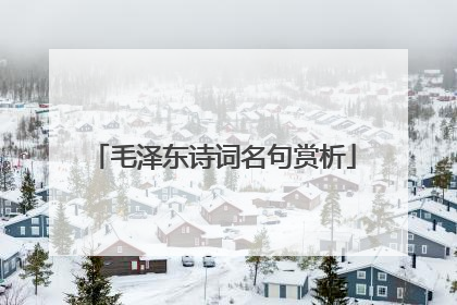 毛泽东诗词名句赏析