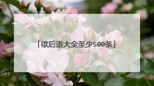 歇后语大全至少500条