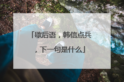 歇后语，韩信点兵，下一句是什么