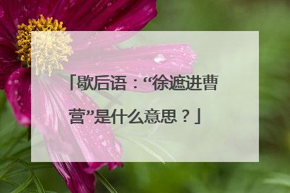 歇后语：“徐遮进曹营”是什么意思？