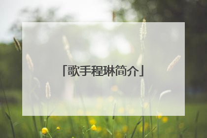 歌手程琳简介