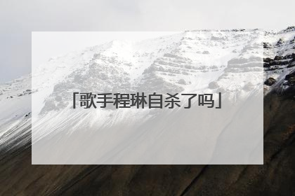 歌手程琳自杀了吗