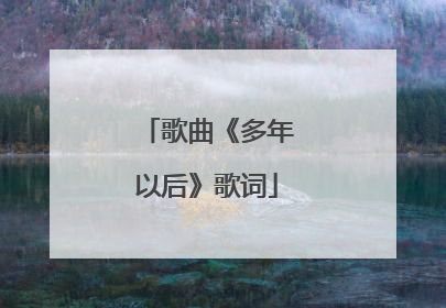 歌曲《多年以后》歌词