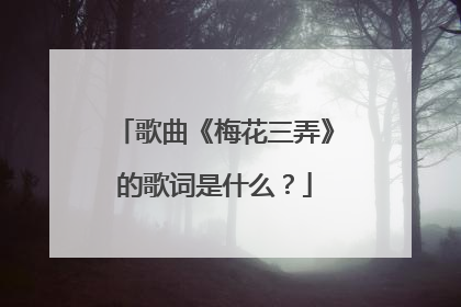 歌曲《梅花三弄》的歌词是什么？