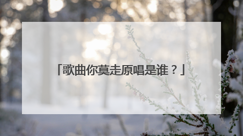 歌曲你莫走原唱是谁?