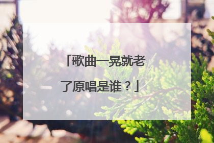 歌曲一晃就老了原唱是谁？