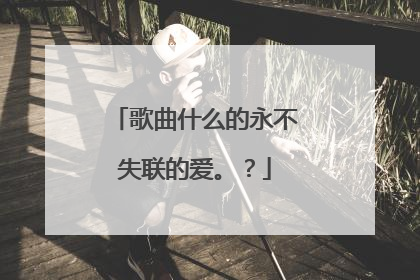 歌曲什么的永不失联的爱。?