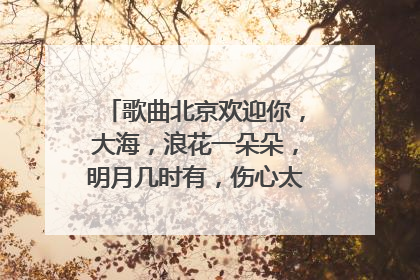 歌曲北京欢迎你，大海，浪花一朵朵，明月几时有，伤心太平洋，离歌；以及三句半的节目串词