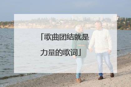 歌曲团结就是力量的歌词