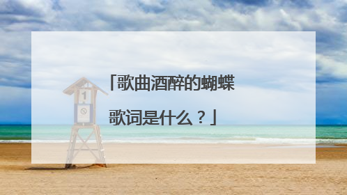 歌曲酒醉的蝴蝶歌词是什么？