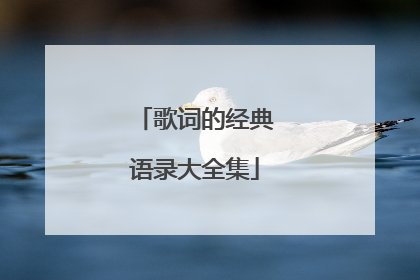 歌词的经典语录大全集