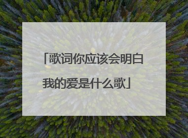 歌词你应该会明白我的爱是什么歌