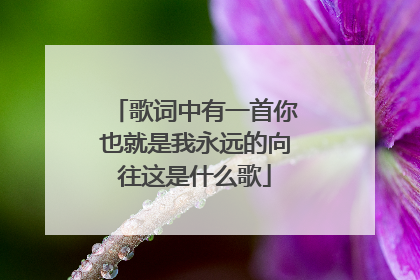 歌词中有一首你也就是我永远的向往这是什么歌