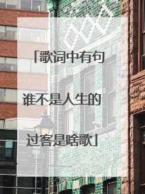 歌词中有句谁不是人生的过客是啥歌