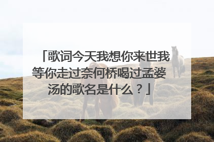 歌词今天我想你来世我等你走过奈何桥喝过孟婆汤的歌名是什么?