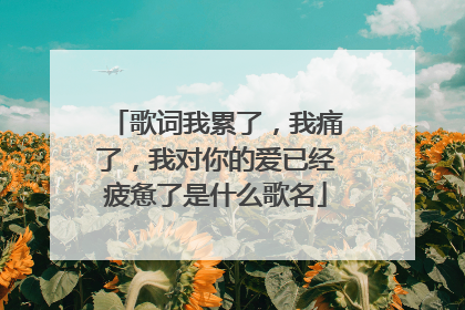 歌词我累了，我痛了，我对你的爱已经疲惫了是什么歌名