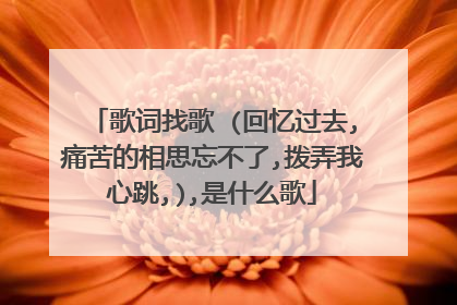 歌词找歌 (回忆过去,痛苦的相思忘不了,拨弄我心跳,),是什么歌