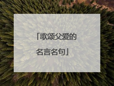 歌颂父爱的名言名句