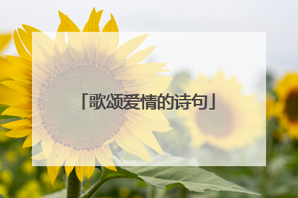歌颂爱情的诗句