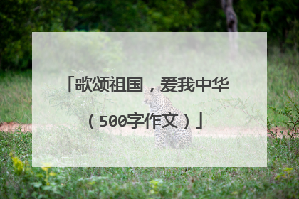 歌颂祖国,爱我中华(500字作文)