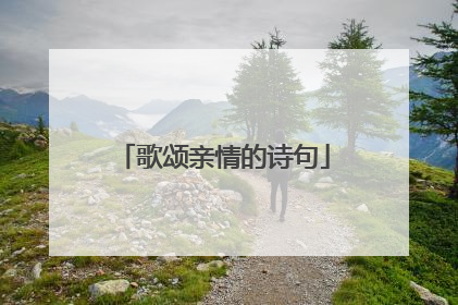 歌颂亲情的诗句