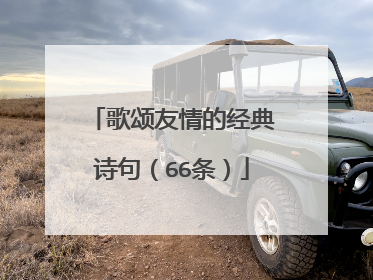 歌颂友情的经典诗句(66条)