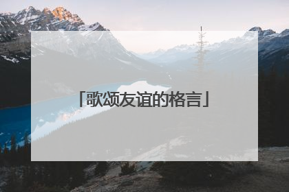 歌颂友谊的格言