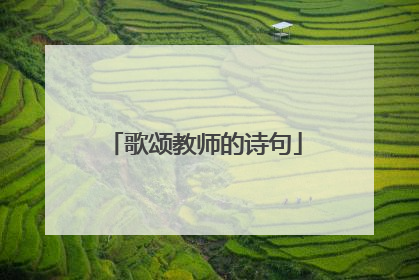 歌颂教师的诗句