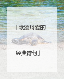 歌颂母爱的经典诗句
