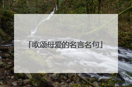 歌颂母爱的名言名句