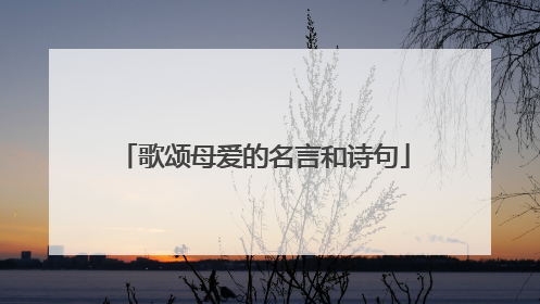 歌颂母爱的名言和诗句