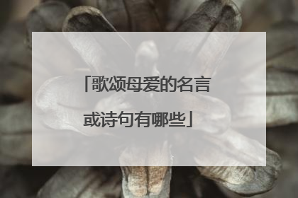 歌颂母爱的名言或诗句有哪些