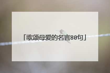 歌颂母爱的名言80句