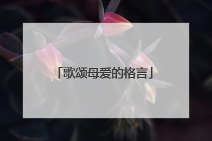 歌颂母爱的格言