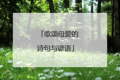 歌颂母爱的诗句与谚语