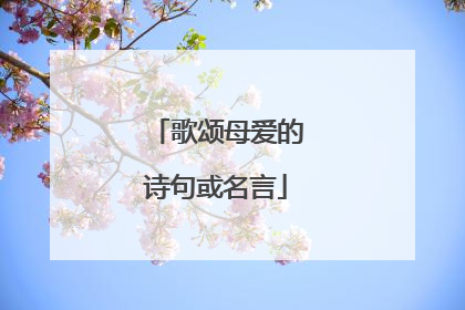 歌颂母爱的诗句或名言