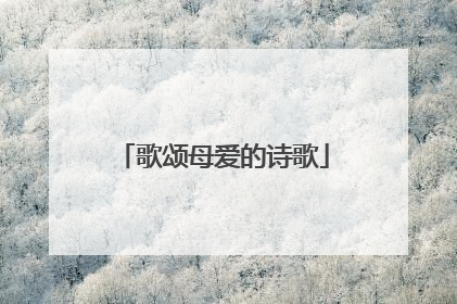 歌颂母爱的诗歌