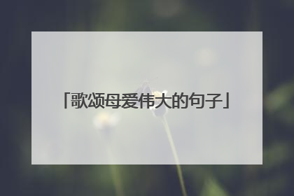 歌颂母爱伟大的句子