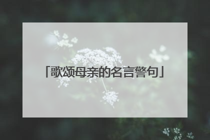 歌颂母亲的名言警句