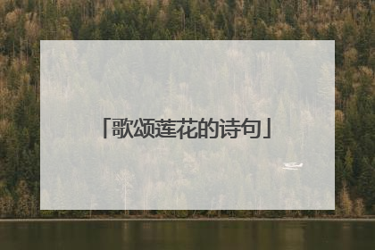 歌颂莲花的诗句