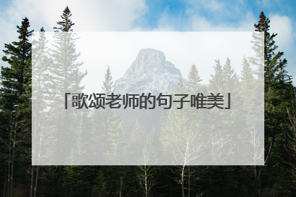 歌颂老师的句子唯美