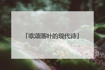 歌颂落叶的现代诗