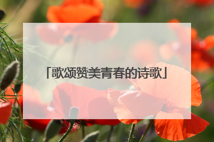 歌颂赞美青春的诗歌